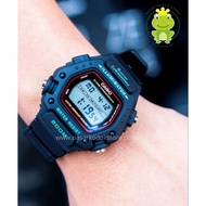 Original CASIO DW-290-1V / DW2901V / DW 290 1V WATCH