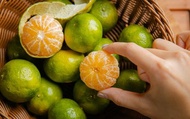 【市場少見！綠皮砂糖橘10斤裝】新品種柑橘 青皮不酸 香甜多汁沙糖柑橘
