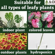 promotion hot sale✥✲☍007 Leaf Fertilizer  ORIGINAL Organic Booster Vitamin Air Murah 叶子肥 BAJA DAUN Tanaman Gardening Pl