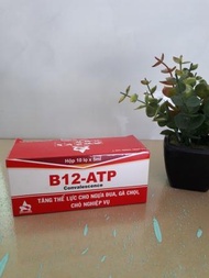 Combo 03 lọ Thuốc tăng lực cho gà đá B12 ATP