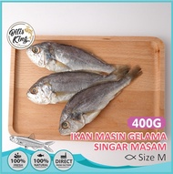 Bilis King Gelama Salted Fish (M)  / Ikan Masin Gelama Singar Masam Saiz M (400g+-)