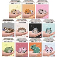 日版 Bandai 小動物 食玩 Tenori Friends 6 全11款 動物 盒蛋 掌上小動物 爬蟲類 兩棲類 青蛙 角蛙 山椒魚 守宮 蜥蝪 變色龍
