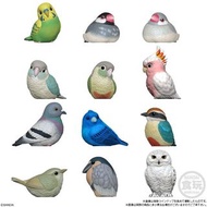 【新貨預訂】 掌上動物 TE-NORI FRIENDS 第10彈 鳥類 (一套12款) TE-NORI FRIENDS 10 BIRD W/O GUM (set of 12) tenori てのりフレ
