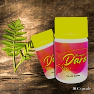 Jamu manjakani 30 kapsul