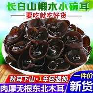 Northeast Black Fungus Thick Rootless Small Bowl Ears Autumn Fungus Basswood Fungus Farmland Special