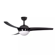 Acorn 52" Ceiling Fan with 18W LED RGB Light