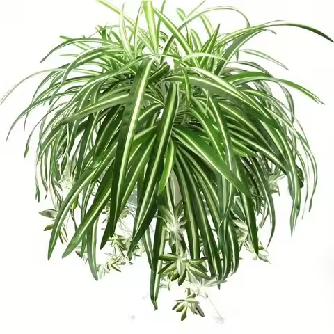 1/2Pcs Fake Plants Wall Hanging Chlorophytum Potted Green Plants PVC Artificial Plants Decor 65cm Be