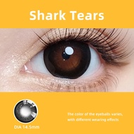 Mrs.H 2 Pcs Color 6 Monthly Disposable Contact Lensesc Colored Contacts Lenses with Power 38% 14.2-1