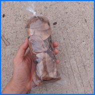 ◪ ✻ ◝ Narra Tree Seeds Per Pack