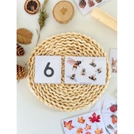 Counting Card Set Math Questions For Children