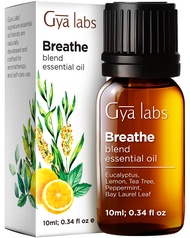 Gya Labs Breathe Essential Oil Blends - Natural Breathe Easy Essential Oils from Eucalyptus Peppermint Oil and More for Humidifier Cleaner (10ml)