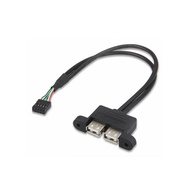 Compatible for ASRock DESKMINI USB Cable USB2.0 Port Additional Cable for DESKMINI 2XUSB2.0