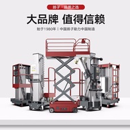 扬子（YANGZI）升降机电动液压升降平台单柱移动式载人小型货梯YZ-DD 选配电瓶
