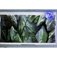 3d painting. stickers for aquariums, arowana fish tanks (back painting)