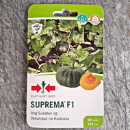 SUPREMA F1 HYBRID KALABASA / SQUASH SEEDS (30 SEEDS) by EAST WEST SEED