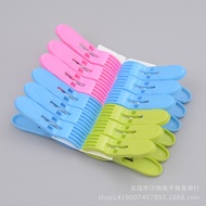 Plastic Clothes Pegs Peg