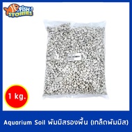 พัมมิสรองพื้น เบอร์ 00 (เกล็ดพัมมิส) รองพื้นสำหรับรองพื้นตู้ไม้น้ำ 1kg. (สำหรับลองพื้นตู้ก่อนปูดิน) 