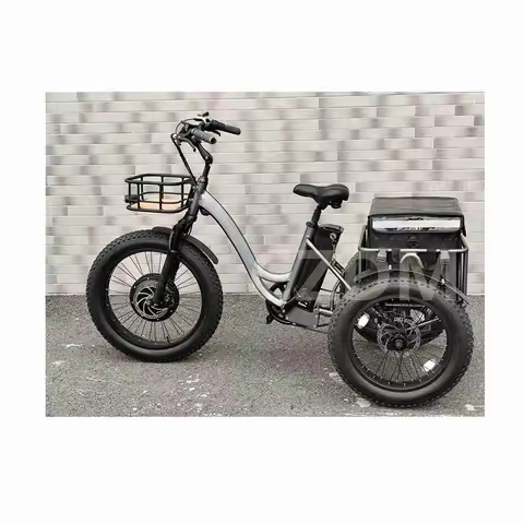 Czdm 1000 20 Inch Tricycle Electric Tricycles 3 Wheel Electric Cargo Bike Tricycle Taxi Moto