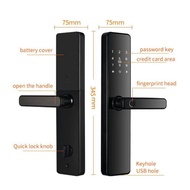 Smart Door Lock For Main Door Remote Unlock Fingerprint Handle Lock HDB Password Door Lock Smart Door Knob Apartment