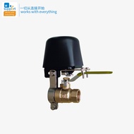 Ewelink Ewelink Smart Valve Remote Control Sharing Smart Home Cross-Mirror 10.23