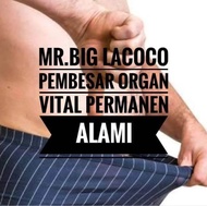 MR.BIG LACOCO NASA // SPECIAL EDITION UNTUK MEMP3RB3S4R & M3MP3RP4NJ49. BPOM HERBAL ALAMI