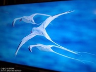 移民55吋智能電視出讓，真正4k Smart TV。高端畫質音效。YouTube netflix一到鍵到。三星有遙控腳架 sony。自取