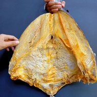 Ikan Asin Jambal Roti Ngeprul Super Mentega Khas Pangandaran Utuh (Jambal Roti Ngeprul)
