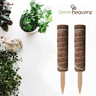 GHZ Extendable Coco Stick Coco Fiber Pole Climbing Plant Support Batang Tiang Sabut Kelapa