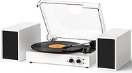 DANFI Audio Record Player for Vinyl with Bluetooth & External Stereo Speakers, 3-Speed Belt-Driven T