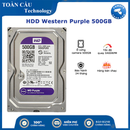 [HCM][100% CHÍNH HÃNG] Ổ cứng Camera HDD Western Purple 500GB tem tím (bảo hành 2 năm) - Camera Toàn