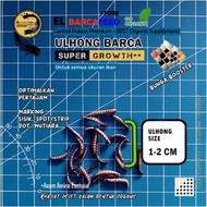 ULHONG BARCA [SUPER GROWTH++] BUNGA BO0STER - Pakan Ikan Channa,