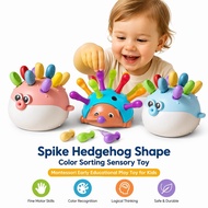 Spike Hedgehog Shape Color Sorting Sensory Toy Montessori Early Educational Play Toy for Kids