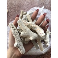 [Filter Material] 1kg Crumbled Coral, Cheap Coral Stone Decoration, Coral Stone