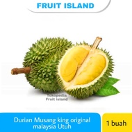 Durian Musang king malaysia original utuh