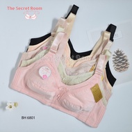 TALLY BRA BH DAILY JUMBO 6801 I WIRELESS I CUP C | NO FOAM I SIZE 38-46