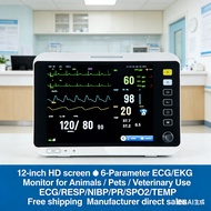Veterinary Multi-Parameter ECG Monitor 40cm HD Cross-Border Foreign Trade Animal Hospital Pet Monito