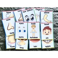 Body Parts Flashcard-Laminated