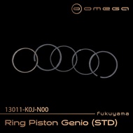 Fukuyama PistonRing / Genio PistonRing