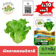 ทำมะชาดฟาร์ม (ซื้อ10แถม1) เมล็ดพันธุ์ ผักกาดหอมอิตาลี ขนาด0.7กรัม ประมาณ700เมล็ด ITALIAN LETTUCE ผัก