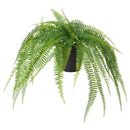 FEJKA Artificial potted plant Ferns Pokok Paku Pakis Hiasan