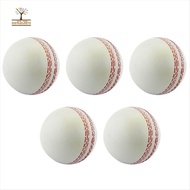 Sports Cricket, Training Cricket, Sports Wind Swing Rebound  Cricket, Elastic Decompression Ball