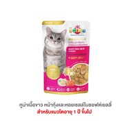 อาหารเปียกแมวโอคิโกะ OKIKO อาหารเปียกแมว ขนาด 70 กรัม