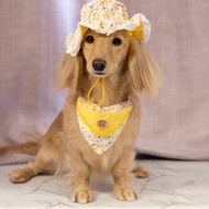 (10%捐公益)春日香氣系列-嬌羞小花口袋領巾+睡帽(鵝黃)