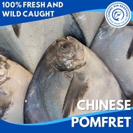 [Cheng Xin Seafood] Premium Chinese Pomfret 斗鲳 (400g-500g)/(700g-800g)/(1-1.2kg)