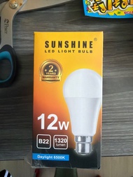 Sunshine LED 燈泡 12W B22