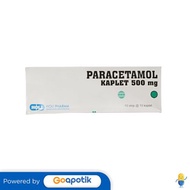 PARACETAMOL 500 MG HOLI PHARMA BOX 100 KAPLET