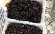 【澎湖海鮮直送 澎湖野生紫菜(濕)x1盒 (100g/盒)】徒手採集的美味 自家船隊捕撈就是鮮