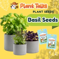 Plant Talks Sweet Basil Plant Seeds Genovese Basil Organic Edible Herbs Cinnamon Thai Siam Queen