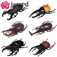 JARRED Simulation Beetle Science Toy Animal Collection Insect Toy Simulation Animals Fake Beetle Jok