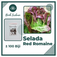 100 Benih Selada Red Romaine Merah Bibit Sayuran Lettuce Romain Super